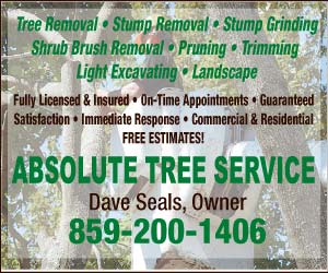 Absolute Tree Service